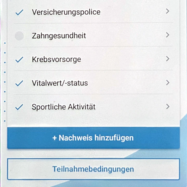 Unter der Nachweisliste der blaue Knopf „+ Nachweis hinzufügen“ und darunter „Teilnahmebedingungen“