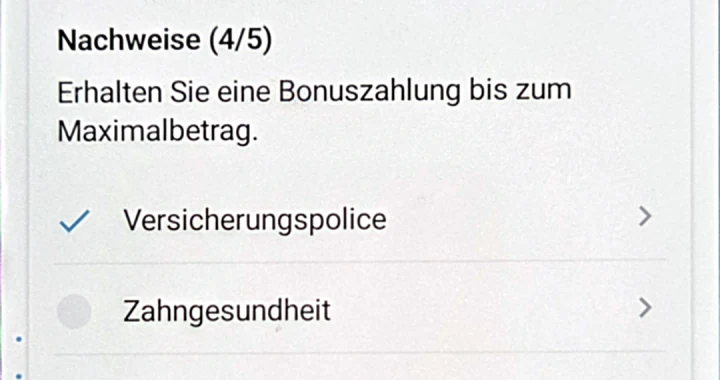 „Nachweise (4/5)“: Versicherungspolice mit Haken, Zahngesundheit mit leerem Kreis